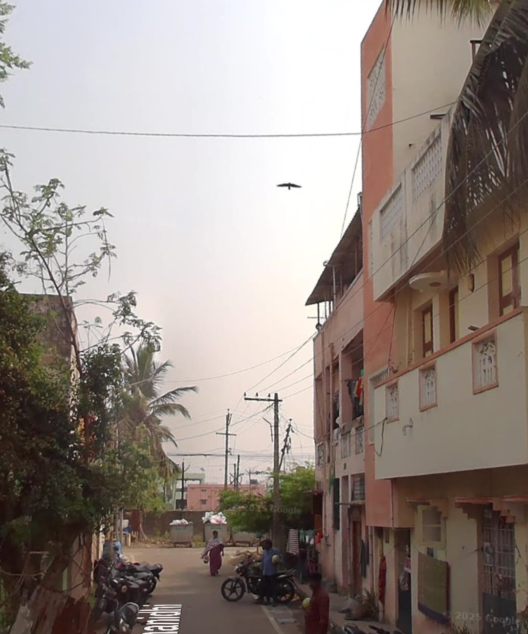 𝐏𝐞𝐫𝐮𝐧𝐠𝐮𝐝𝐢 (DS)