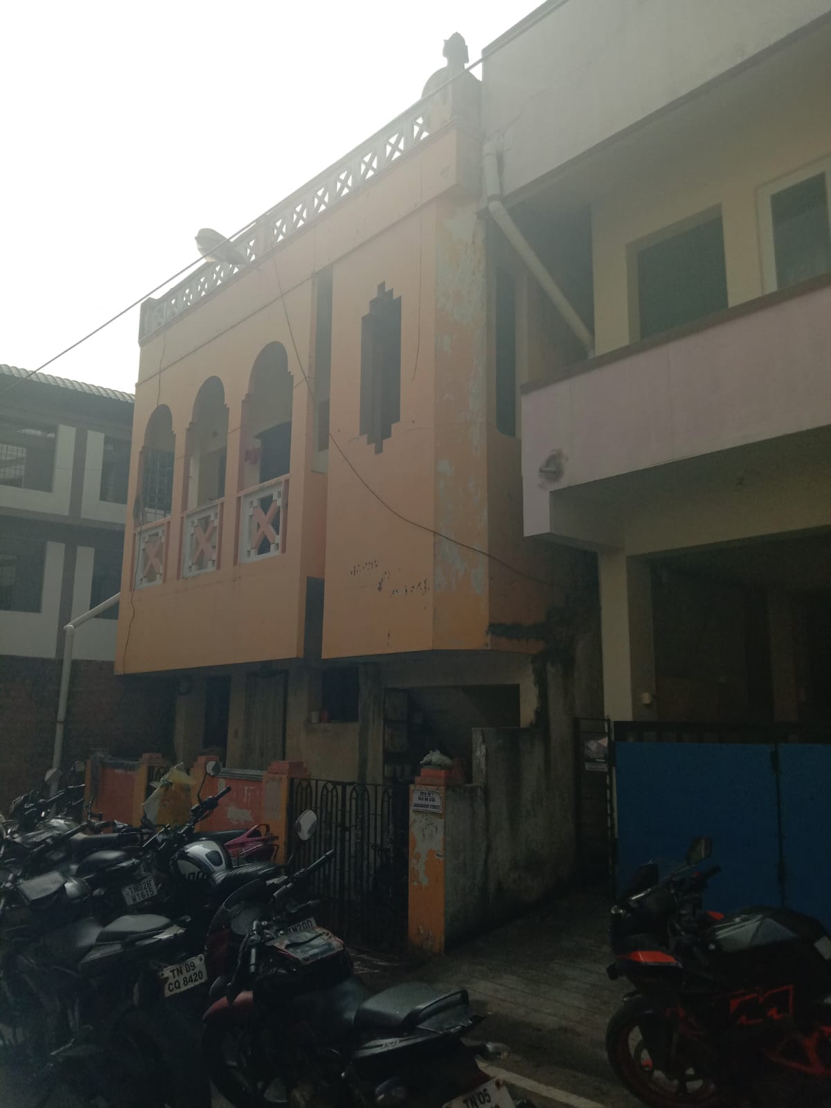 𝗔𝗠𝗜𝗡𝗝𝗜𝗞𝗔𝗥𝗔𝗜(DS)