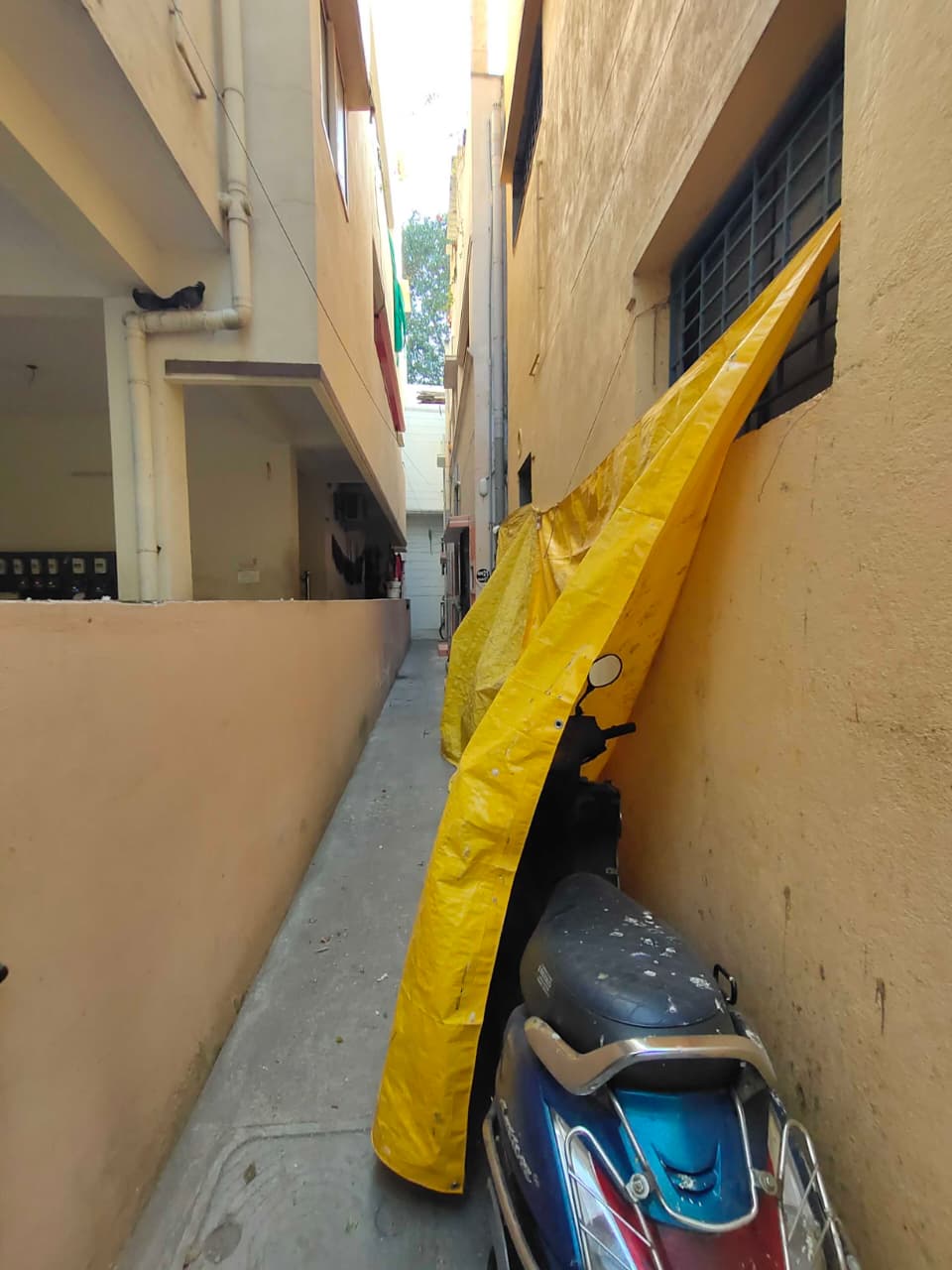 𝗠𝗔𝗠𝗕𝗔𝗟𝗔𝗠 (DS)