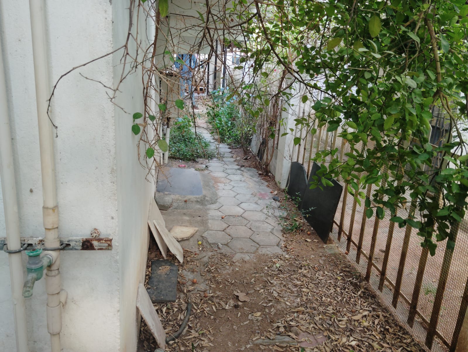 3BHK Meadow Villa