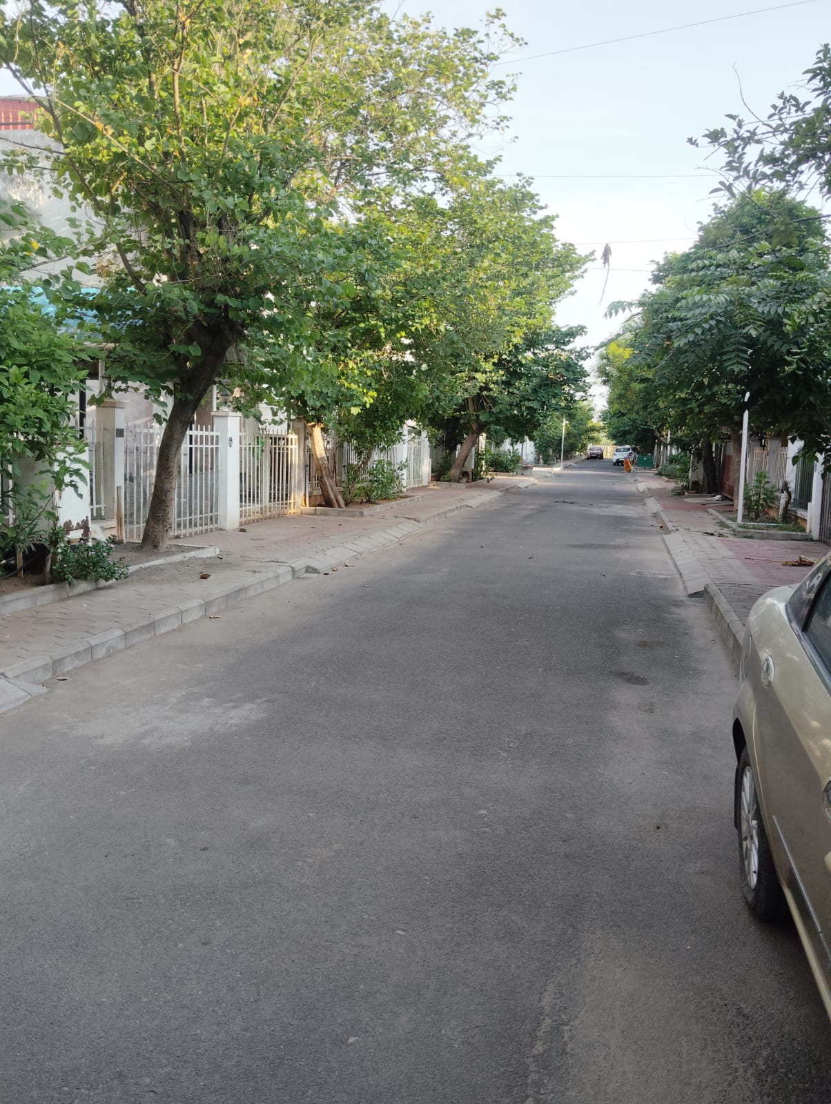3BHK Meadow Villa